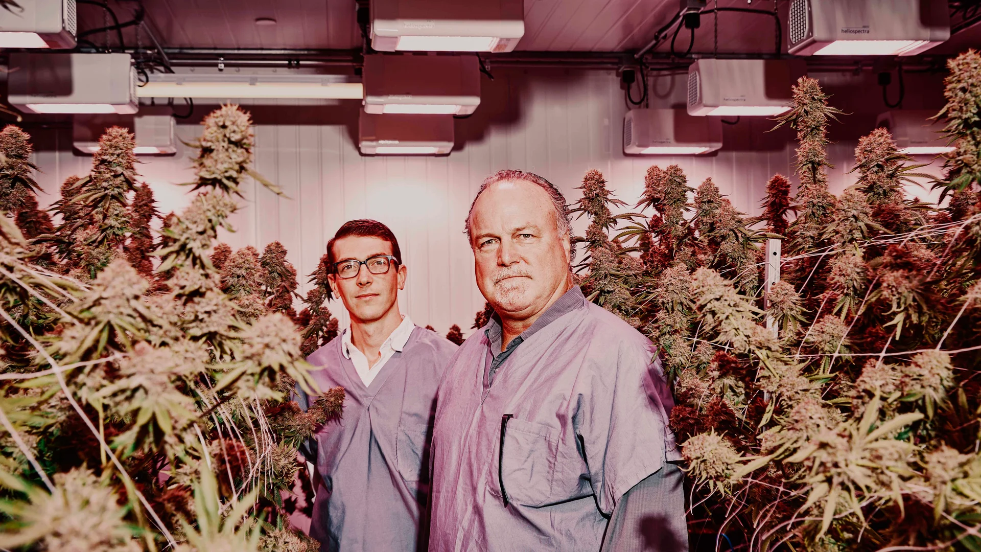 Ryan Ansin Entrepreneurs Turned an Old Shoe Factory Into a Cannabis Lab. It's Now ...