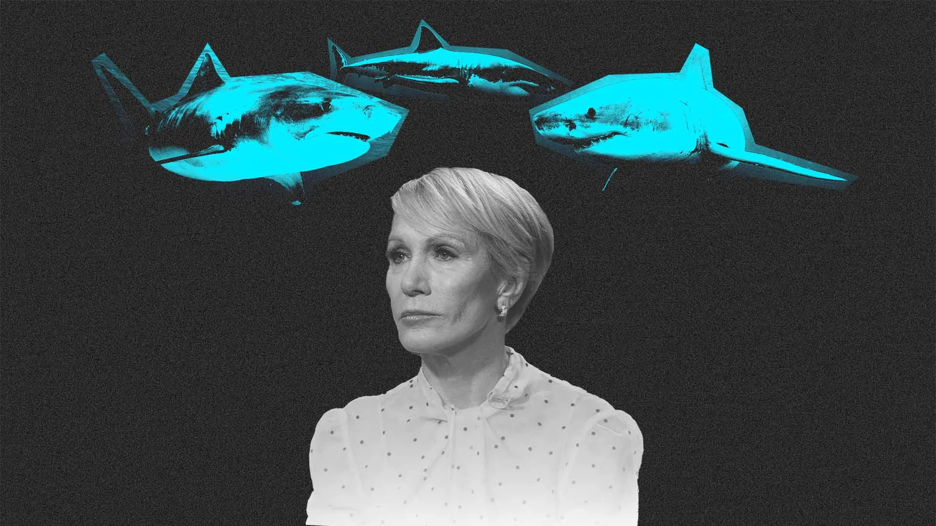 barbara form shark tank net worth - Ilustrasi 2