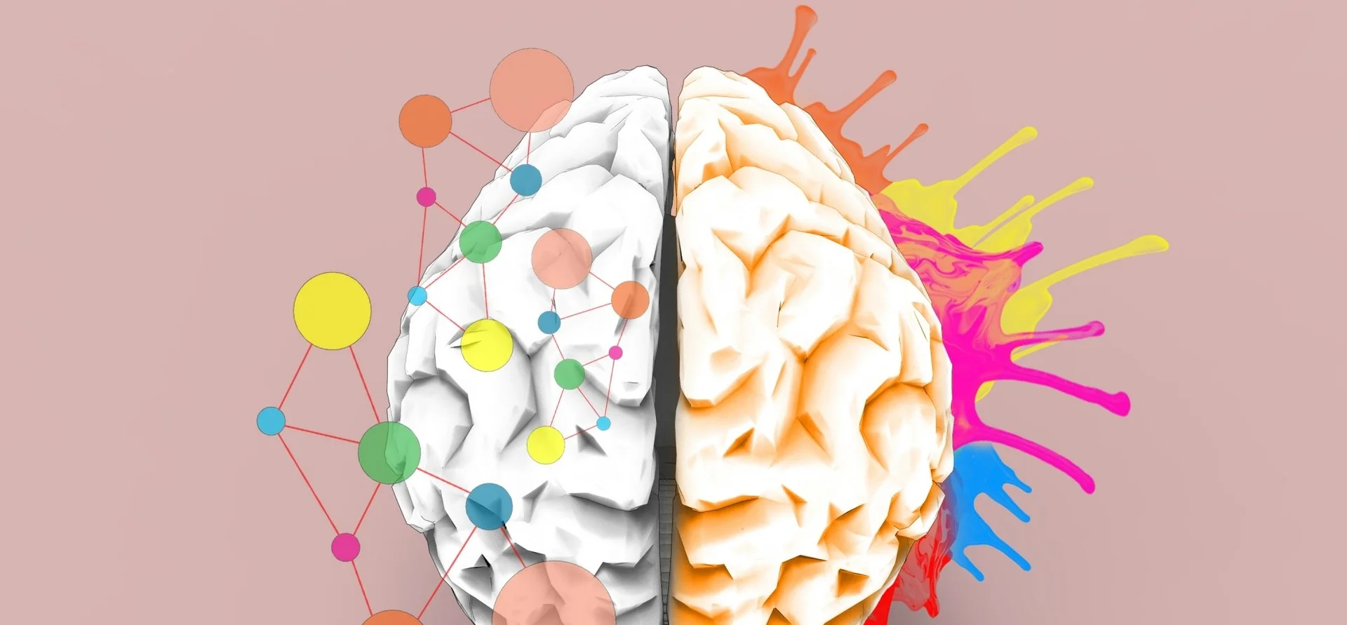 When Real Learning Happens in the Brain, According to Neuroscience