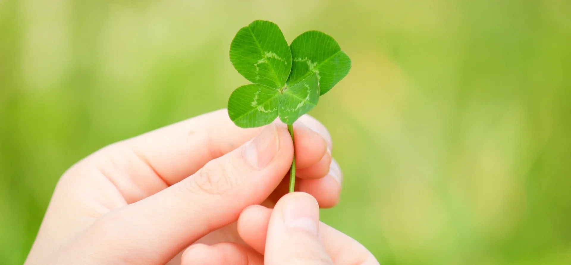 Creating Luck To Create Your Own Luck, Do Any 1 of These 5 Things