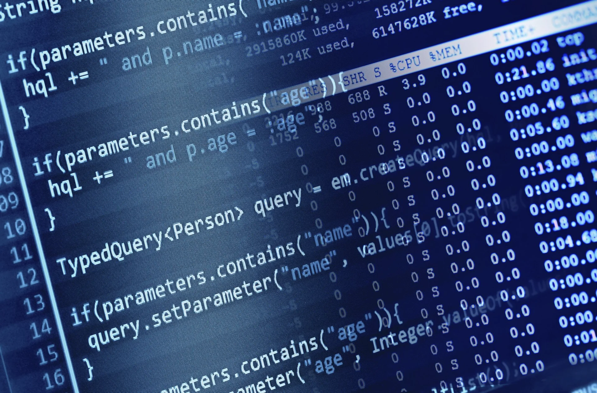 How to Choose Which Programming Language to Learn [Infographic]