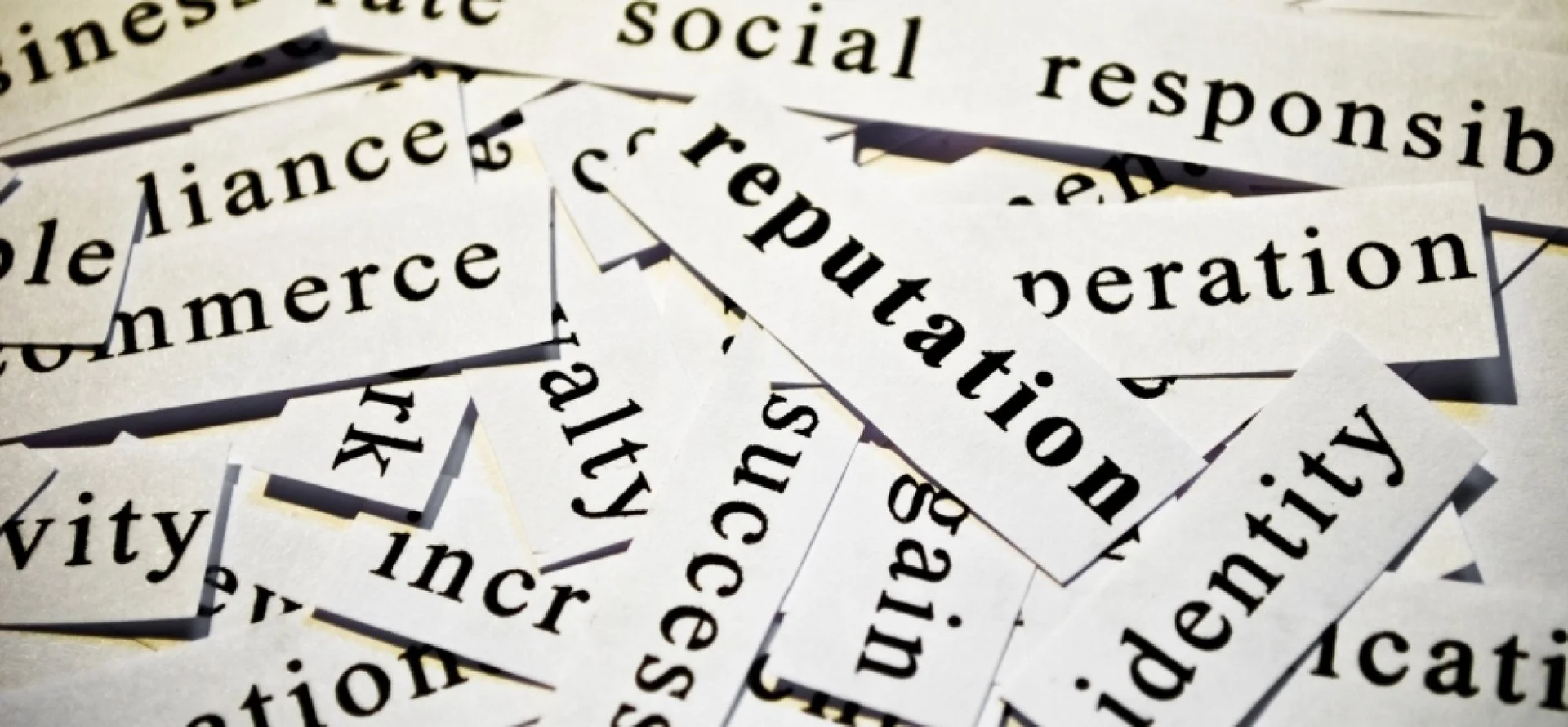 Reputed Images Why Worrying About Your Reputation Will Result in Startup Failure