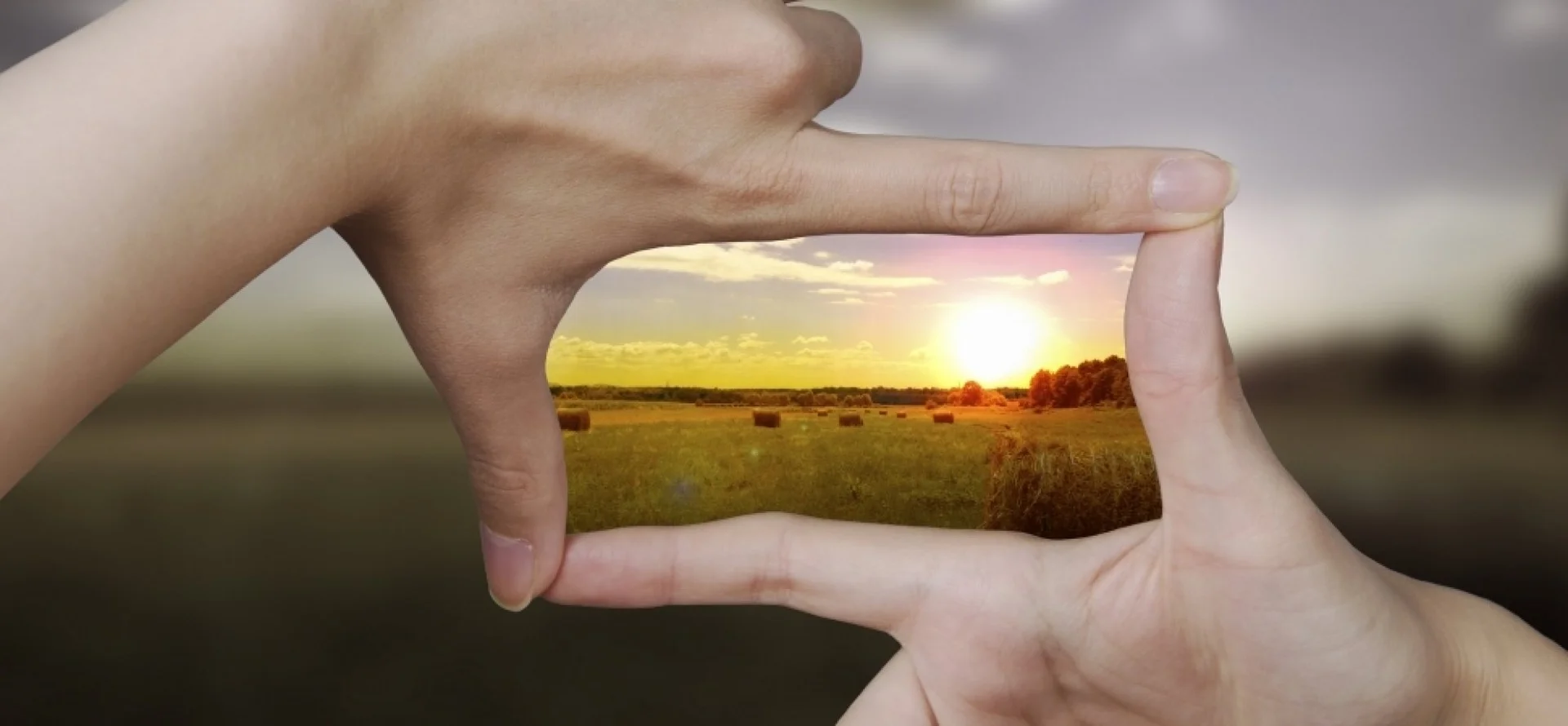 Photo Intention 5 Steps to Turning Your Intentions Into Real Success
