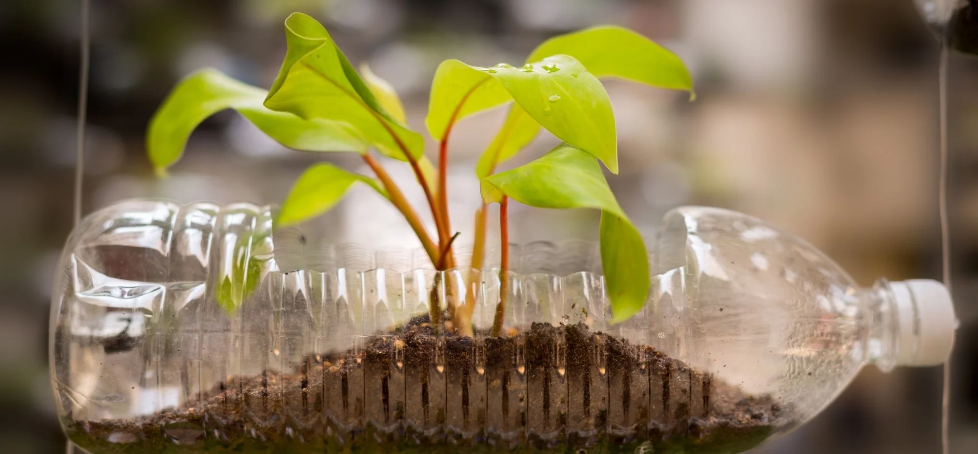 Repurposing Visual 3 Ways to Repurpose Visual Content and Boost Your Returns