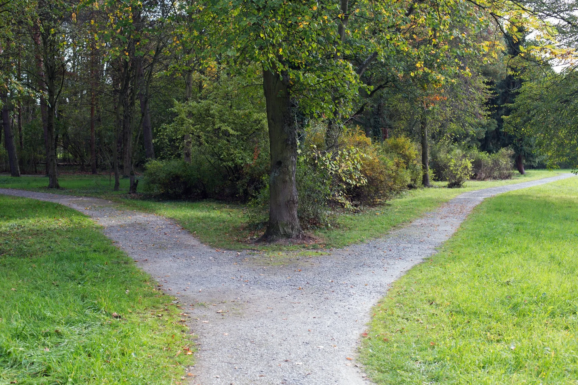 The 5 Most Important Questions to Ask Yourself When at a Crossroads