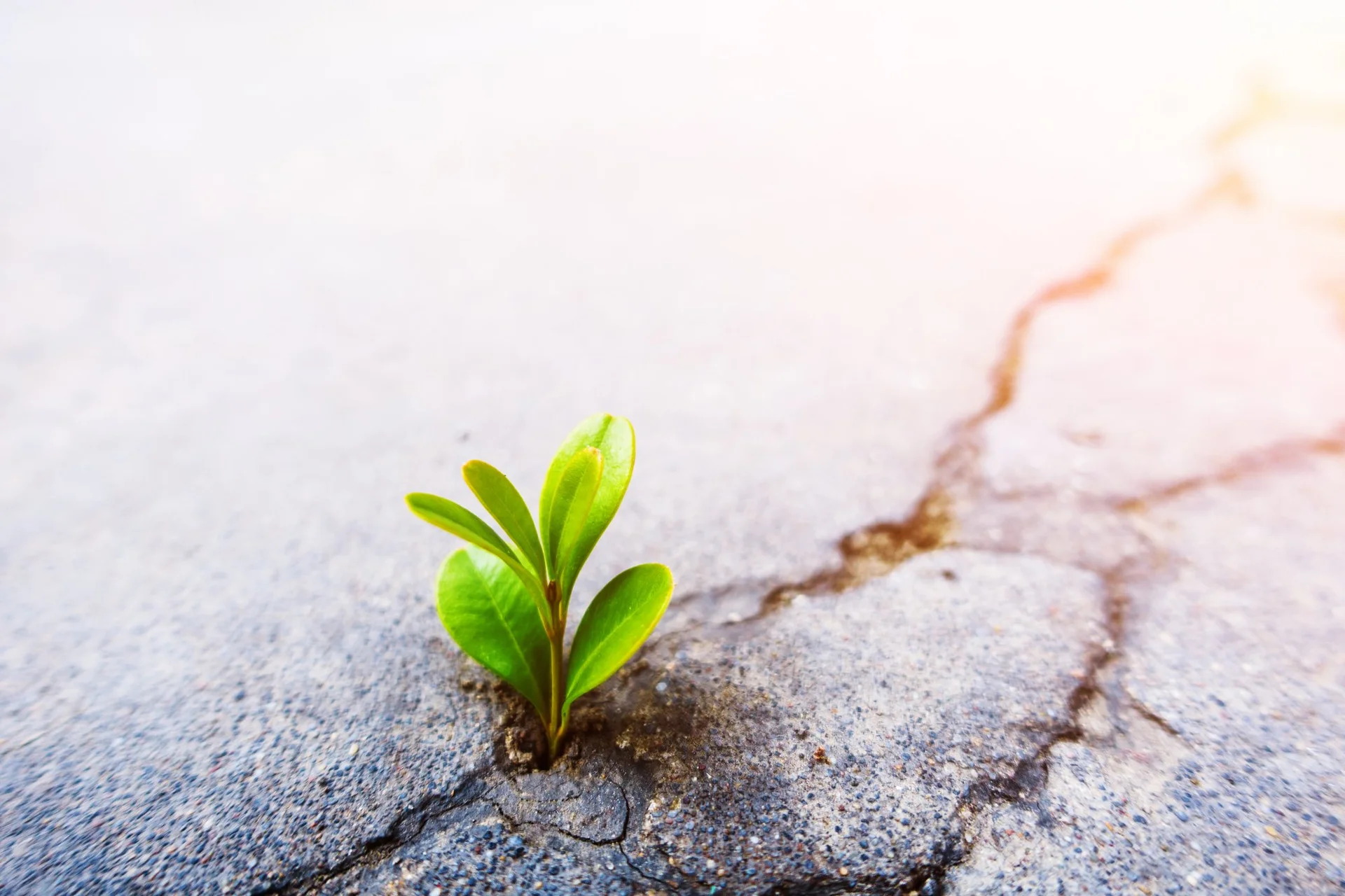 These 17 Quotes Will Inspire you to Be More Persistent