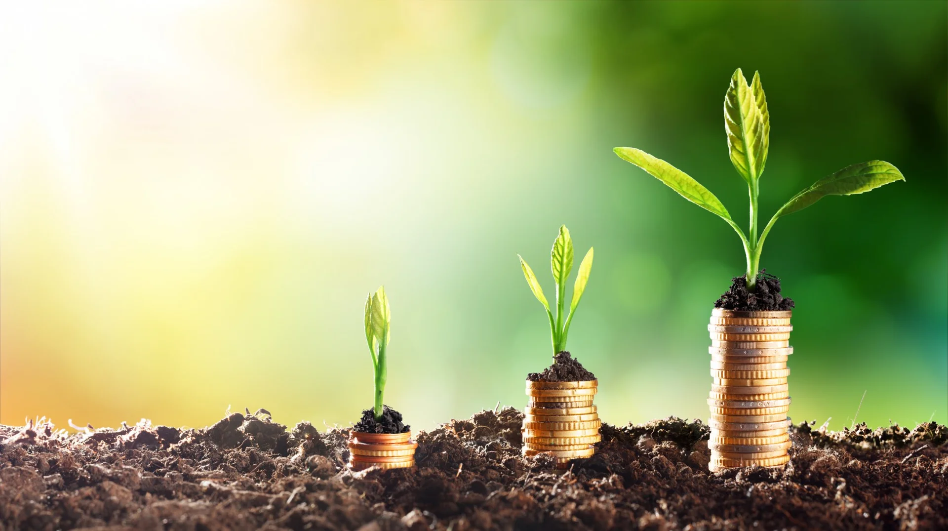 grow business images