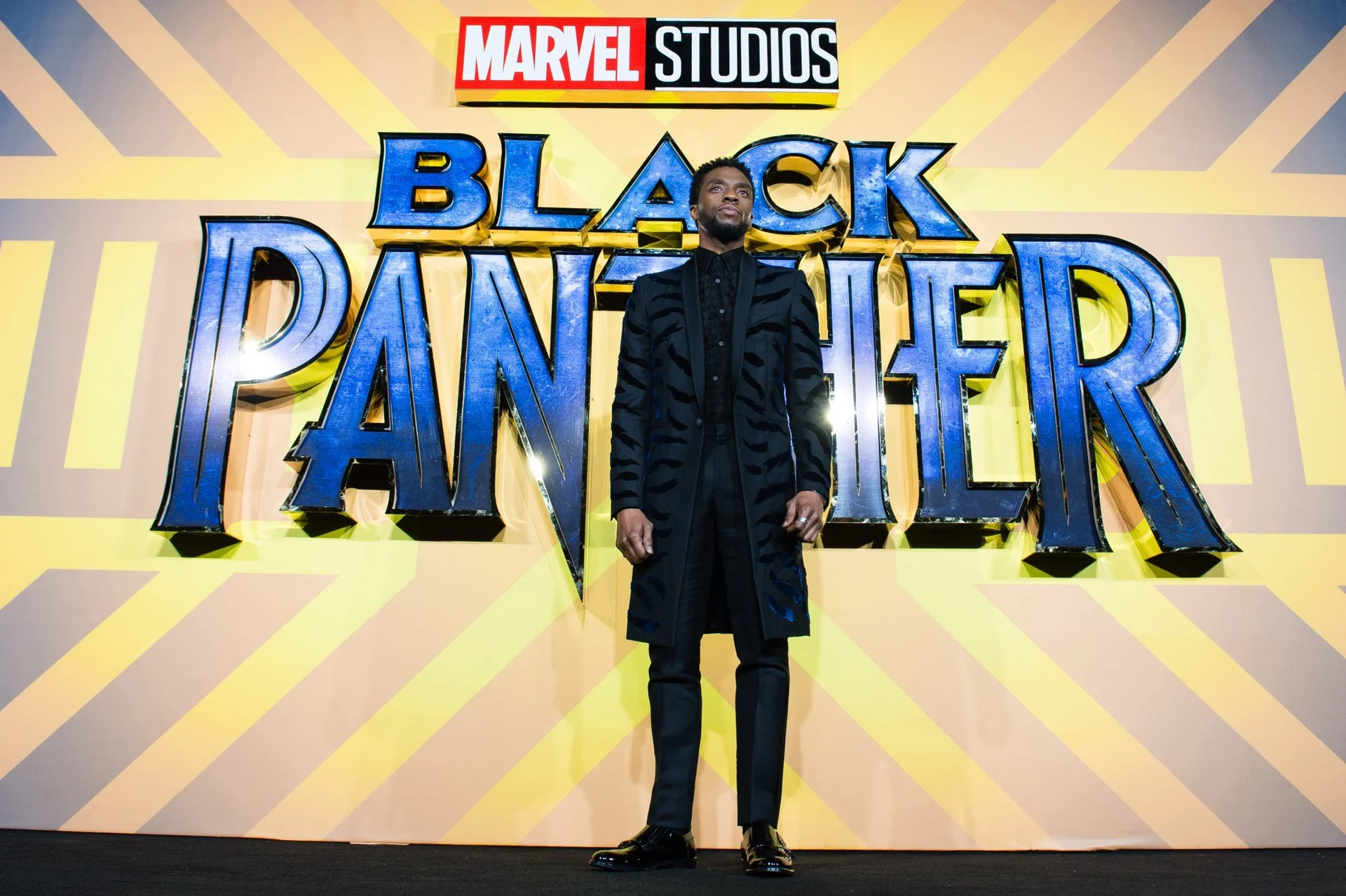 The Success Of Black Panther Illustrates A Smart Business Strategy the-success-of-black-panther-illustrates-a-smart-business-strategy