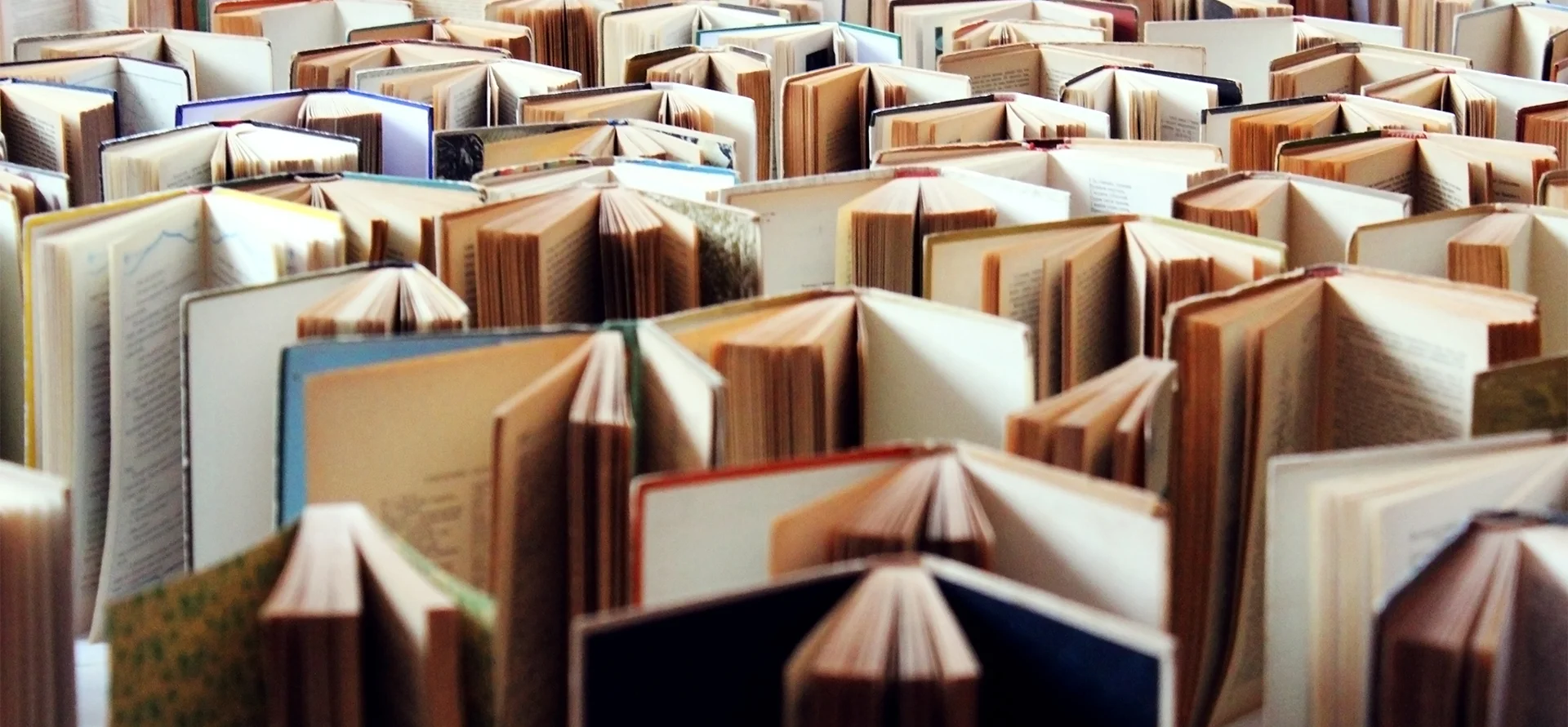 Read Three Books Need Some Smart Summer Reading? Grab the 3 Books Stanford Is Having All ...