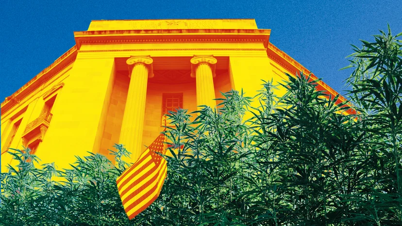 The Billion Hemp Industry Is Facing a Burnout—Here’s How Founders Are Pivoting The Billion Hemp Industry Is Facing a Burnout—Here’s How Founders Are Pivoting
