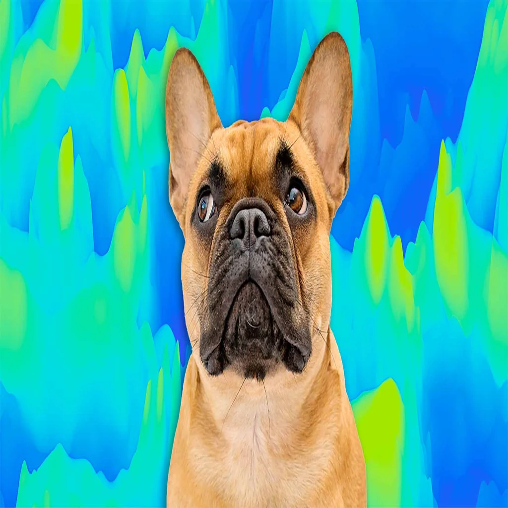 Just How Closely Bonded Are You and Your Dog? New Neuroscience Research Says a Brain Scan Could Tell You