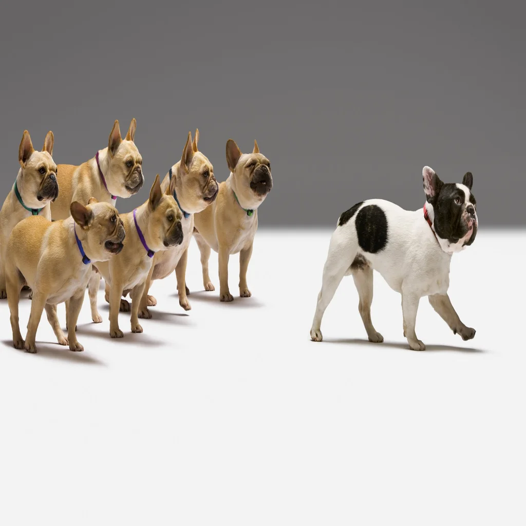 What 2 Best-Selling Researchers Say Are the 10 Biggest Truths About ...
