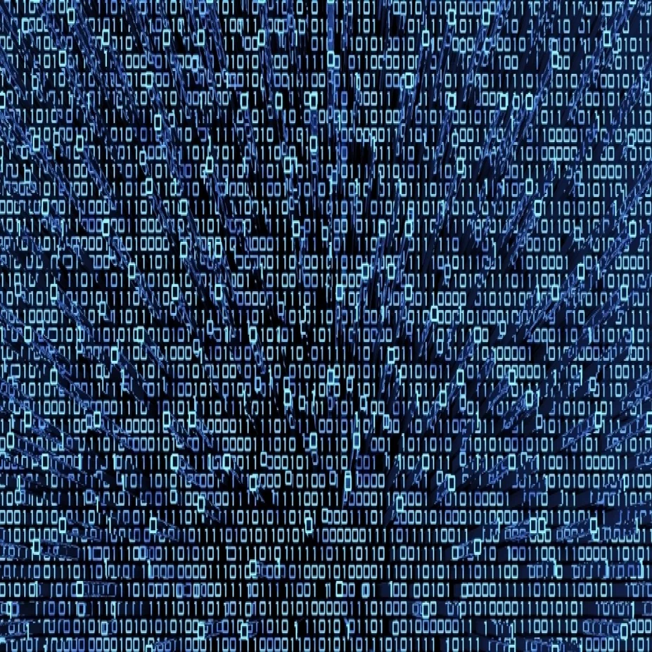 Are You Looking to Crack the Code to Grow Your Business?