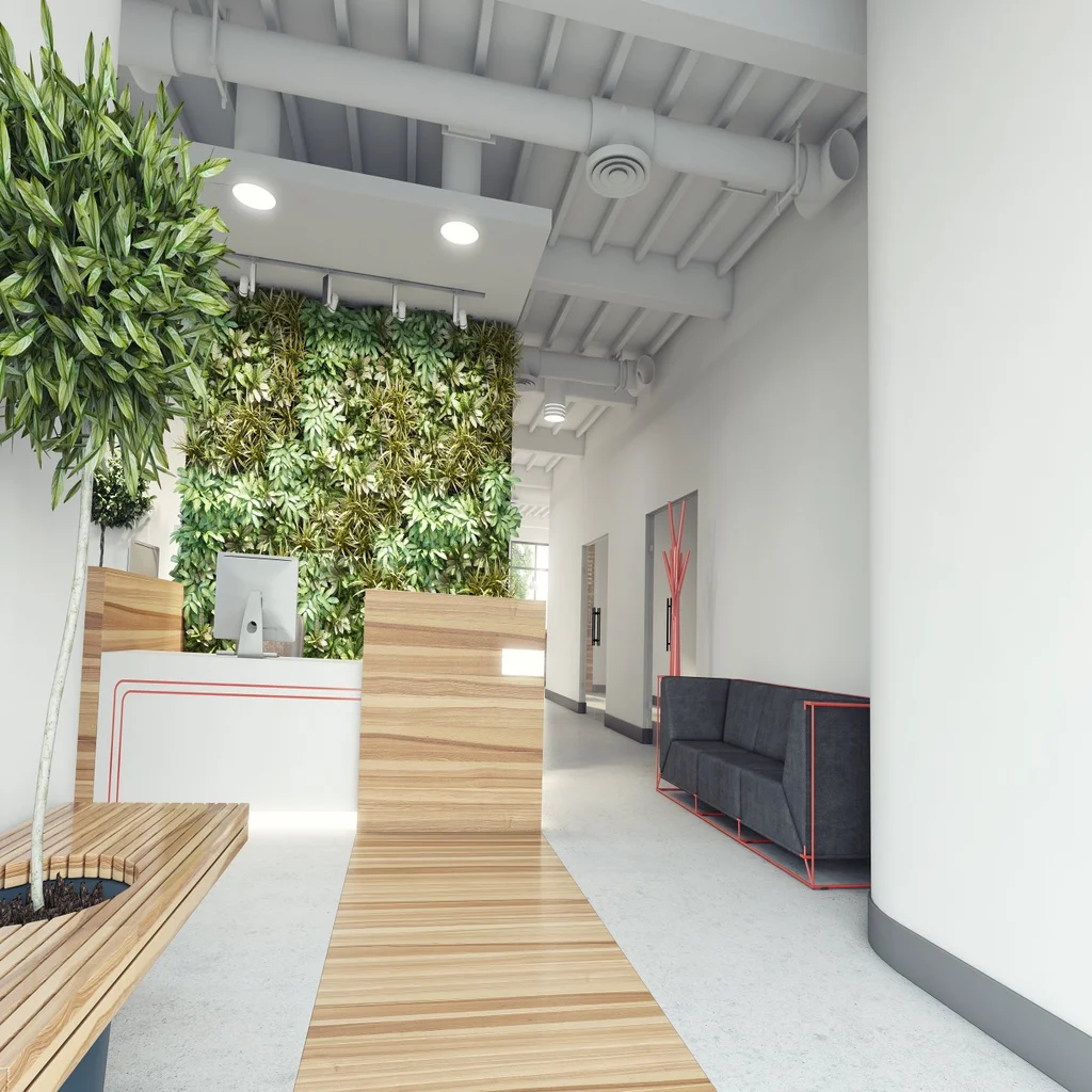 What's the Big Deal With Biophilic Office Design?