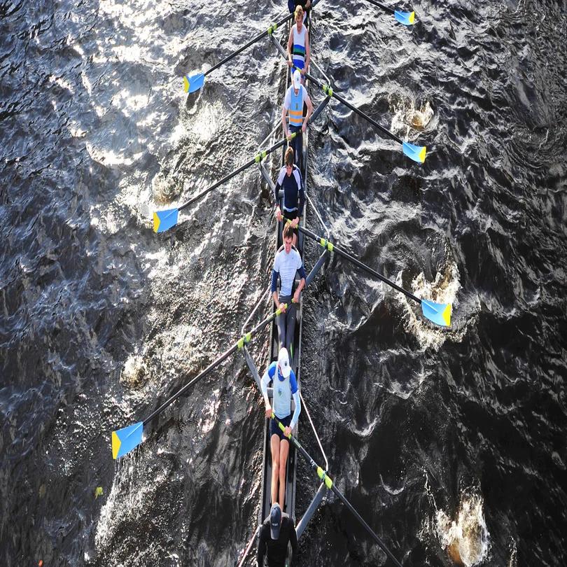 Team Rowing Fail 7 Reasons Good Teams Become Dysfunctional