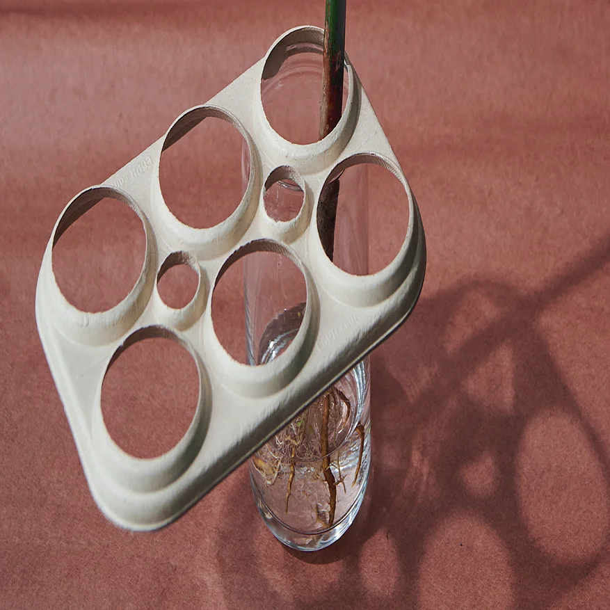 Beer Rings Polution Soon, Your Beer's 6-Pack Ring May Be Plastic-Free. Corona and Carlsberg ...