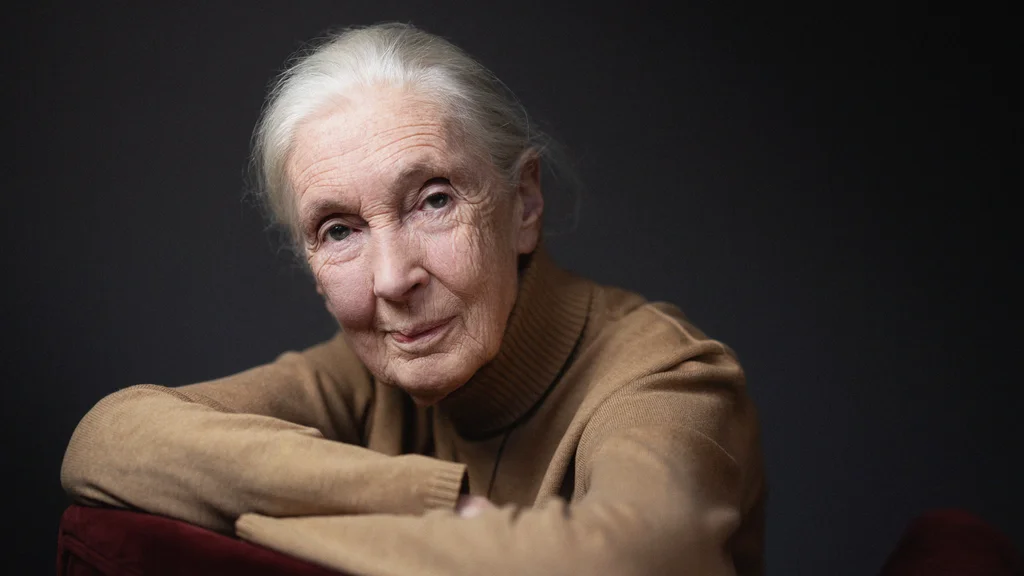How Jane Goodall’s Explanation for Persuading People Who Disagree With You ...