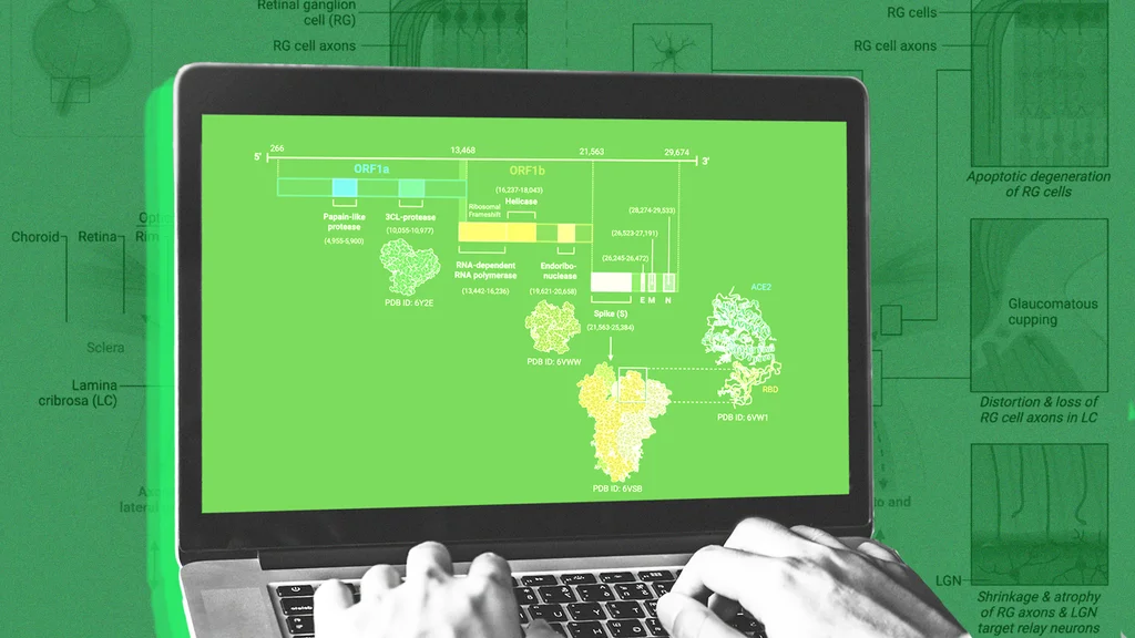 How a Medical Illustrator Built 'Canva for Science'