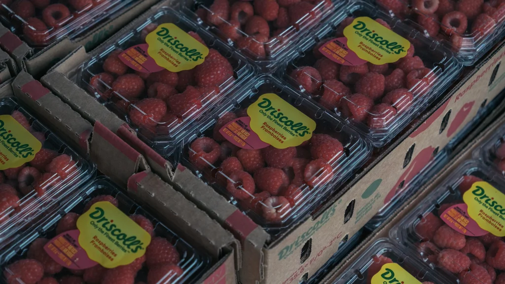 Driscoll’s Strawberries Contaminated With ‘Forever Chemicals ...