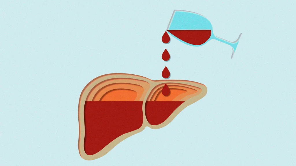 Think Your Liver Heals After You Stop Drinking? Researchers Just ...
