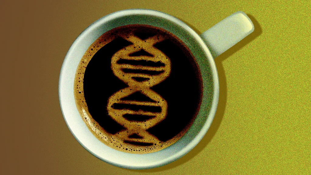Caffeine Helped Cells Live Longer in a New Study. Scientists Found the ...