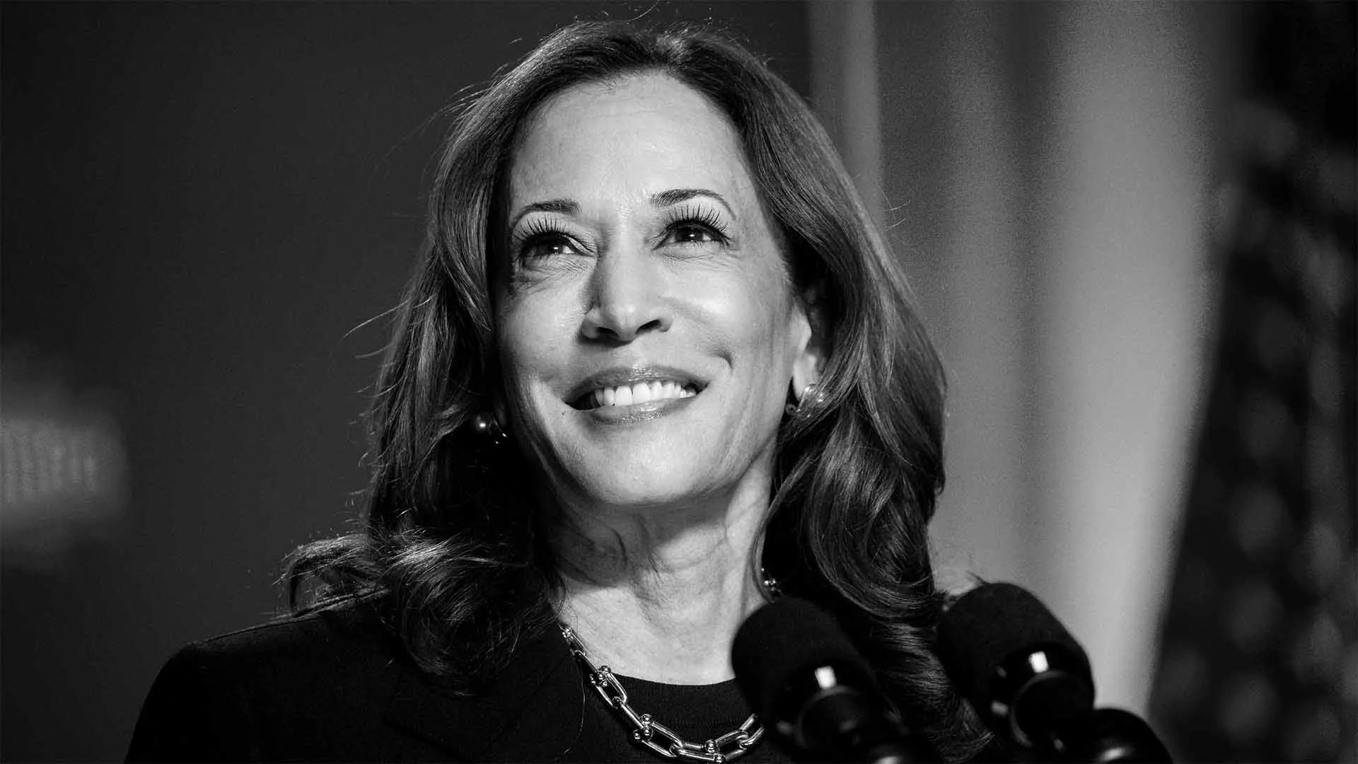 Harris Targets Black Men With New Economic Proposals