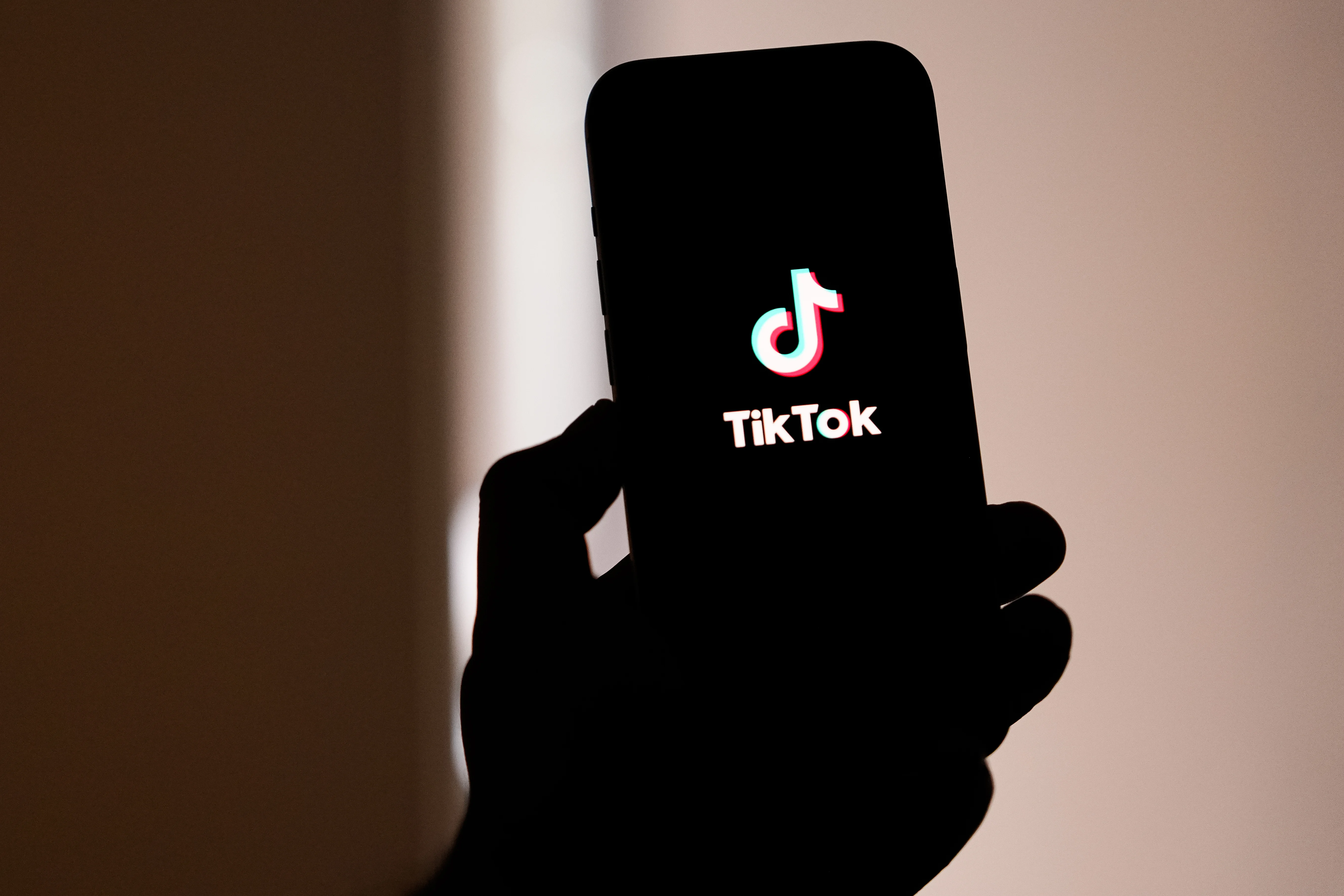 TikTok Ban or Sale Upheld by Federal Appeals Court