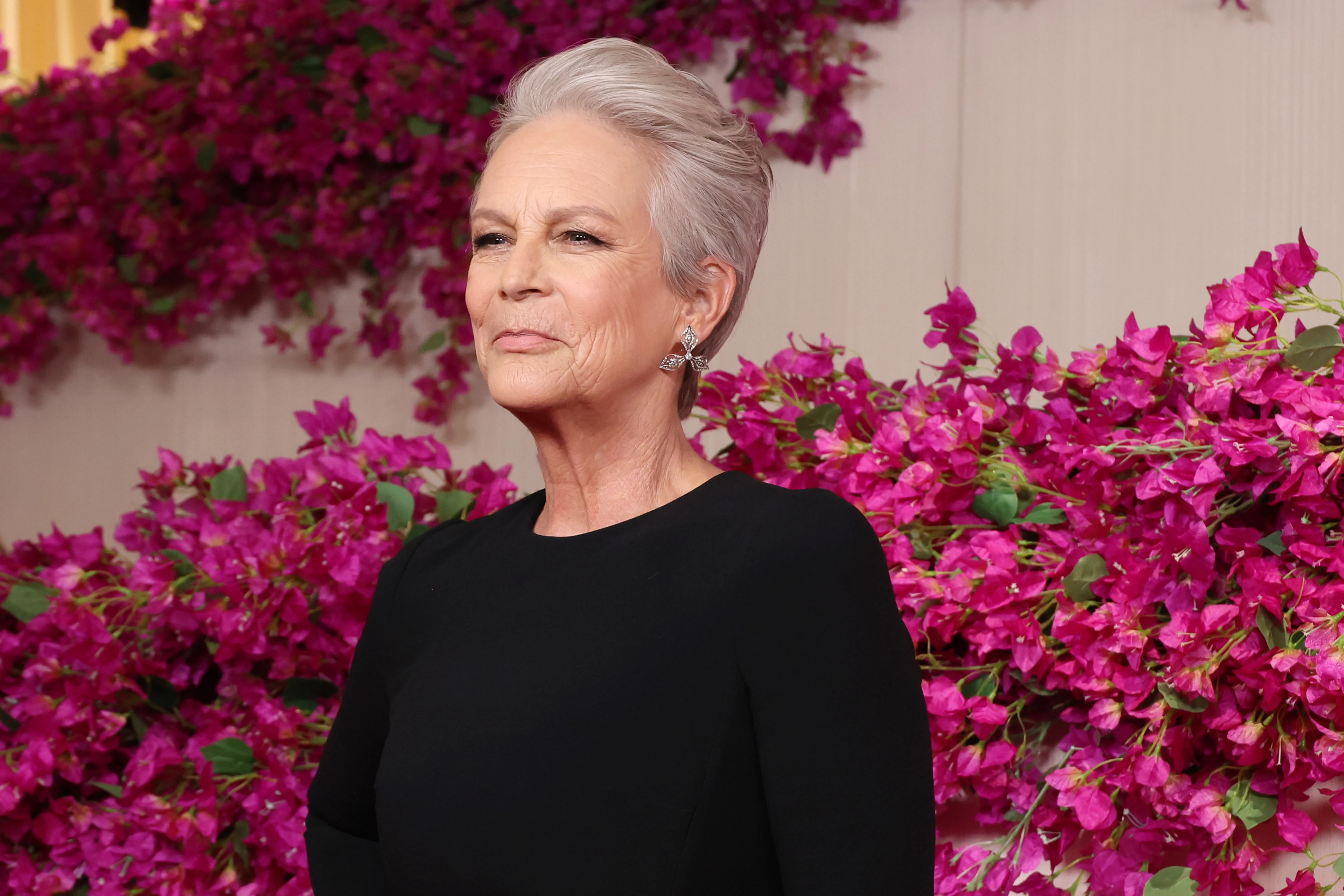 Jamie Lee Curtis Offers $1 Million to Fund Wildfire Relief