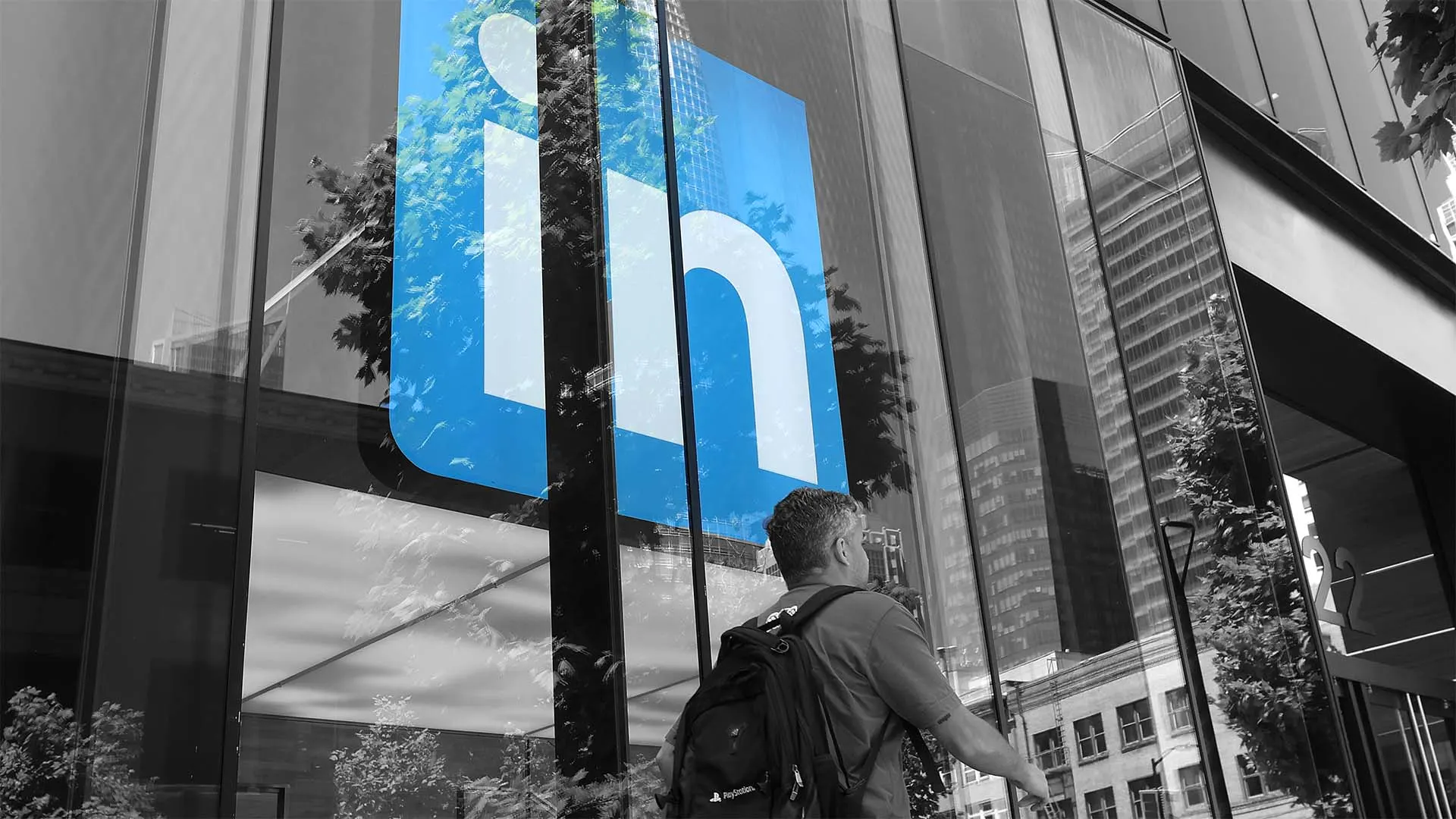 No One Can Find a Job Because LinkedIn Is a Social Network