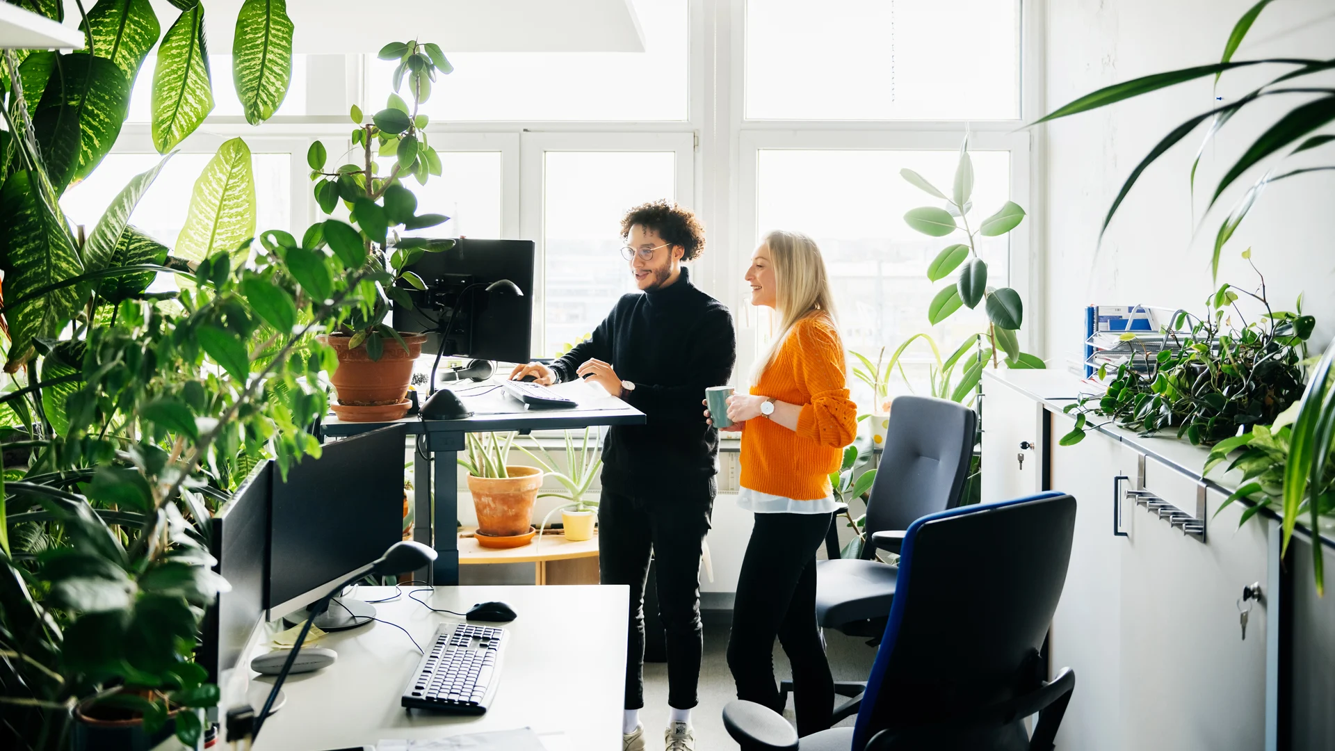 Office Plants Add Warmth to the Workplace. These Species Will Thrive There