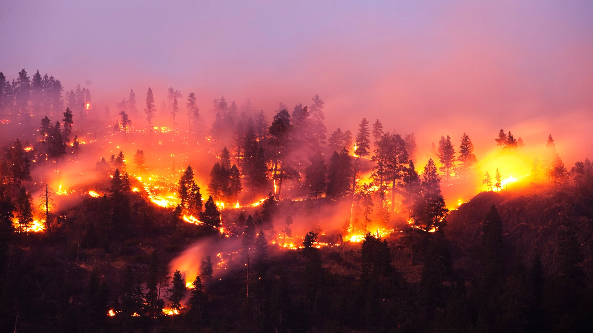 These Entrepreneurs Want to Use Robotics to Fight Wildfires