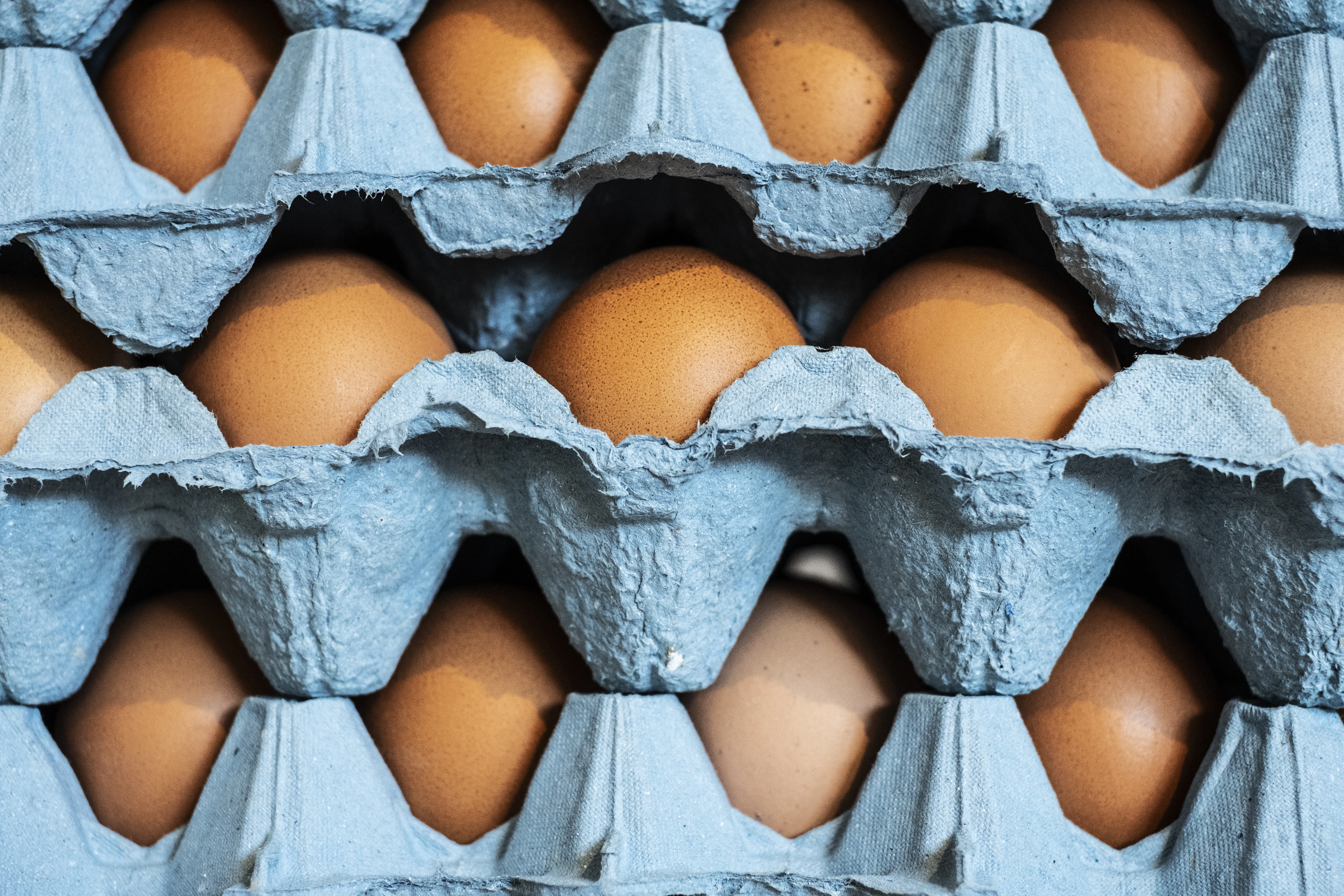 Nevada Takes a Crack at the Egg Price Problem by Loosening Law