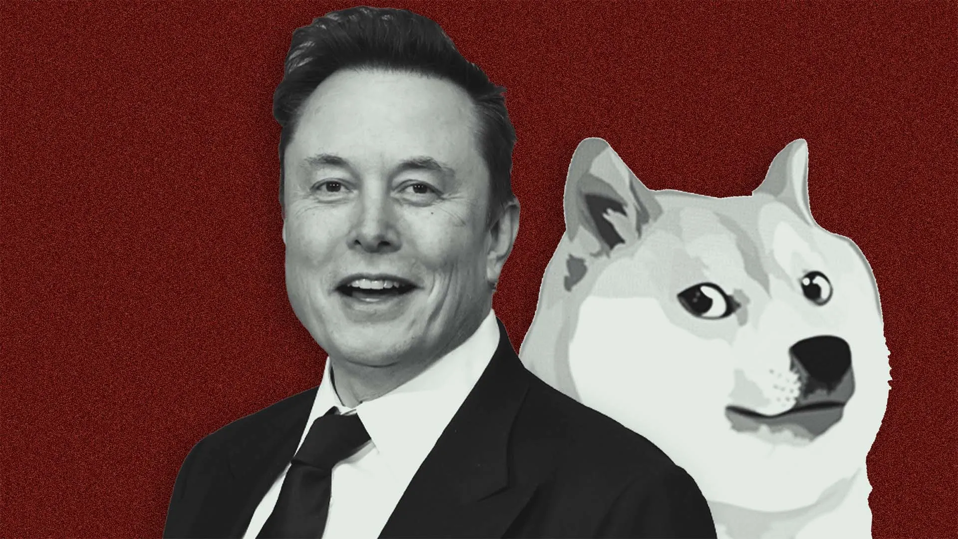 The Investment Chief Behind the DOGE Dividend Explains His Pitch to Elon Musk