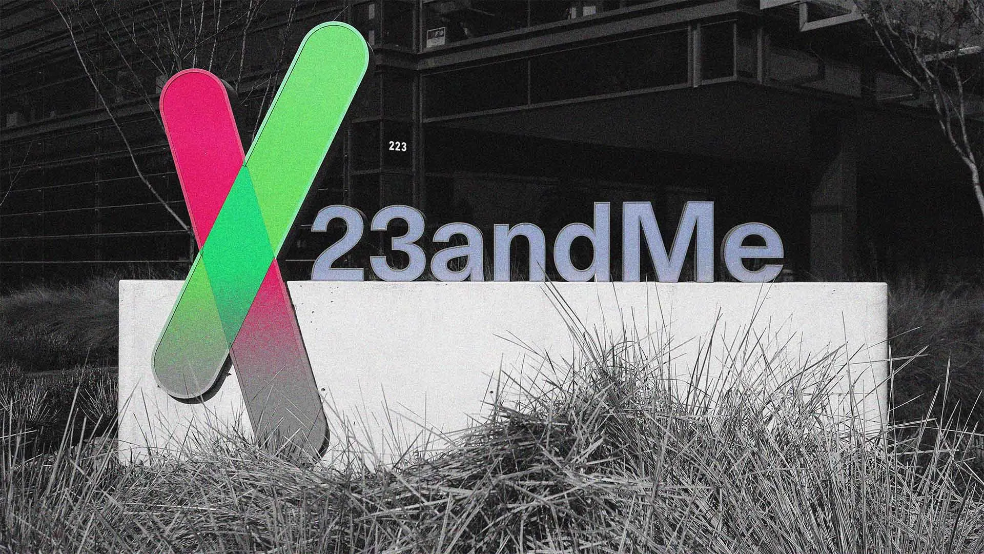 23andMe Just Filed for Bankruptcy. Here’s How to Delete Your Personal Data