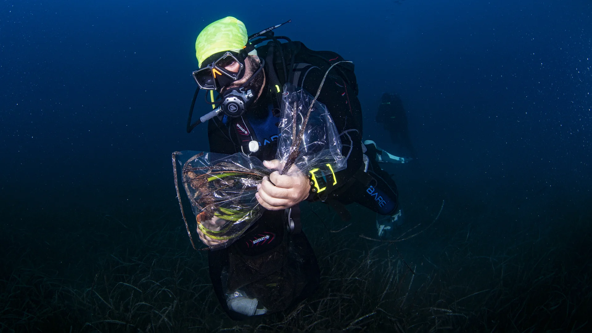 How Oceans Can Capture Carbon