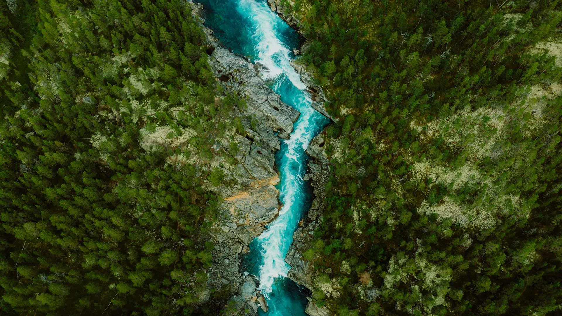 How to Flow Like a River, No Matter the Obstacles