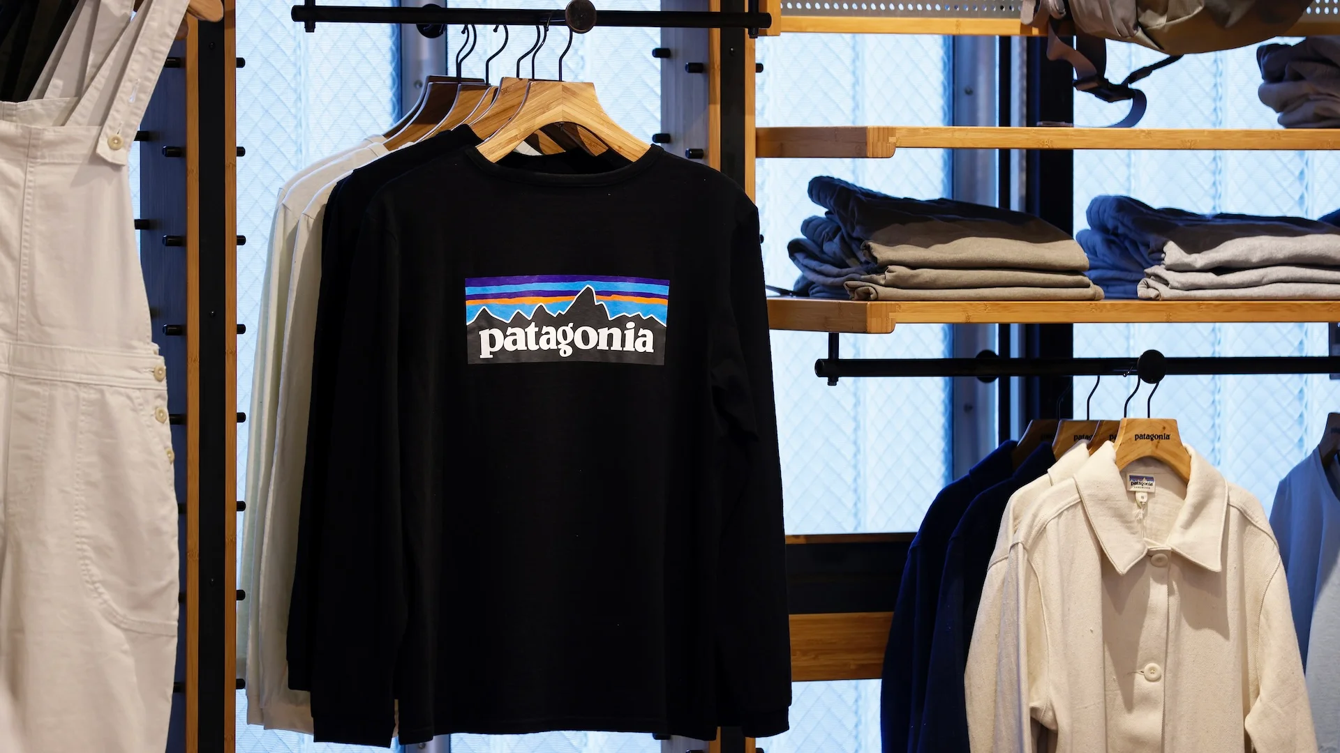 Luxus Patagonia Black Friday Bild