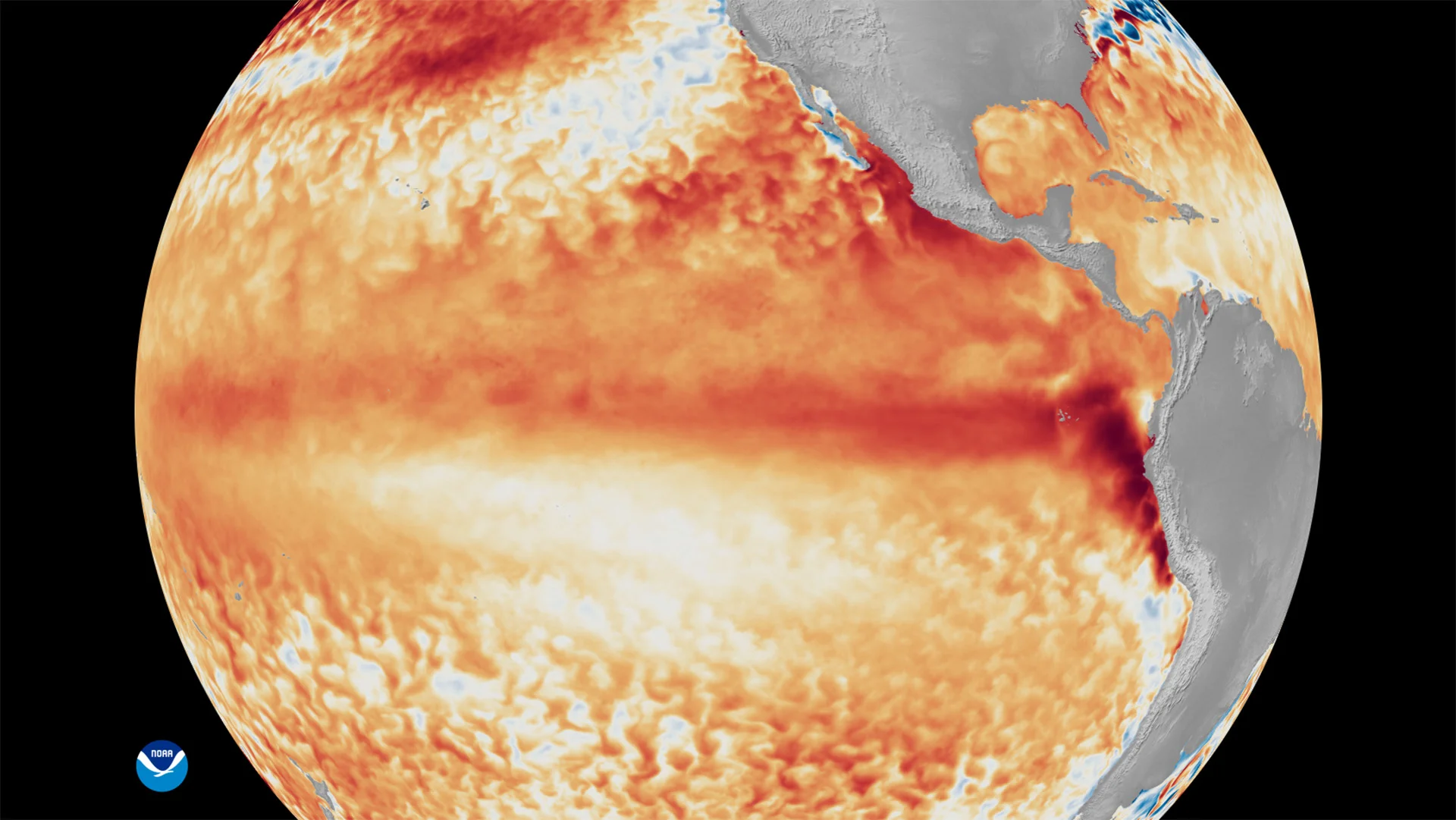 El Niño Is Back—and It Could Cost Businesses Trillions. What Smart Leaders Are to Prepare