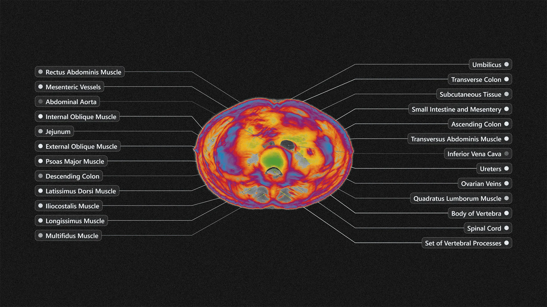 This AI Company Just Built a New Kind of Full-Body Scanner. Using It Is Like Going to the Spa