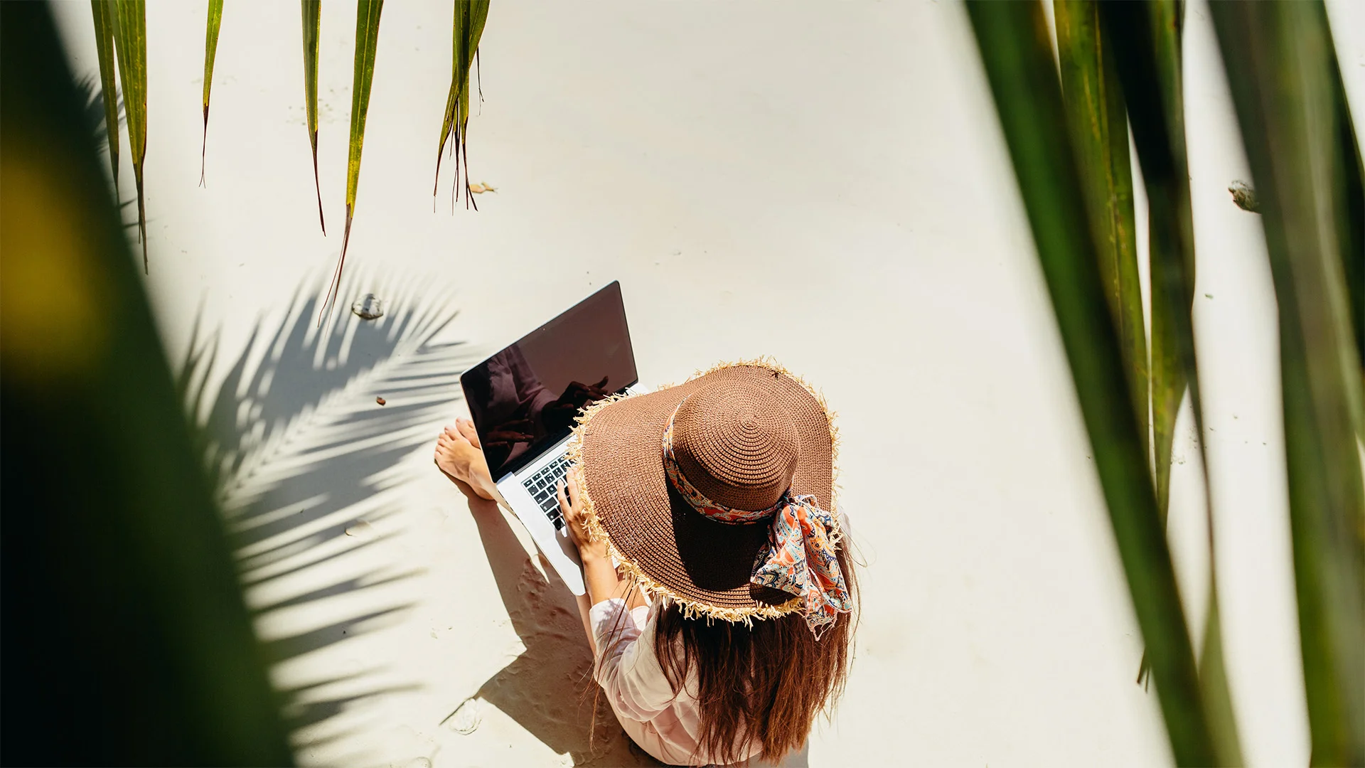 Digital Nomads Advised on Audience Building and Safety