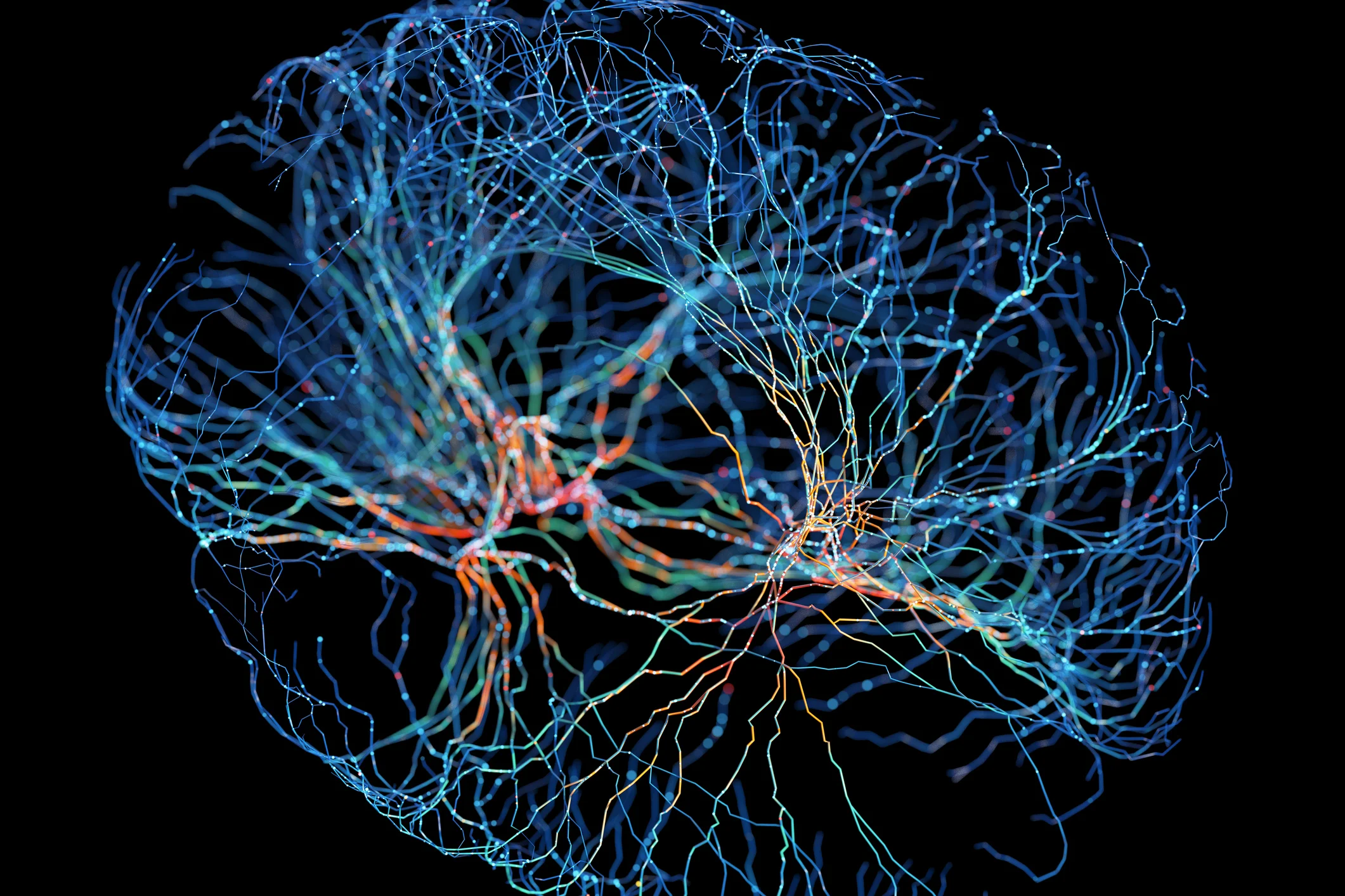 Want Better Focus? A New Johns Hopkins Study Says an Ancient Brain Circuit Controls It