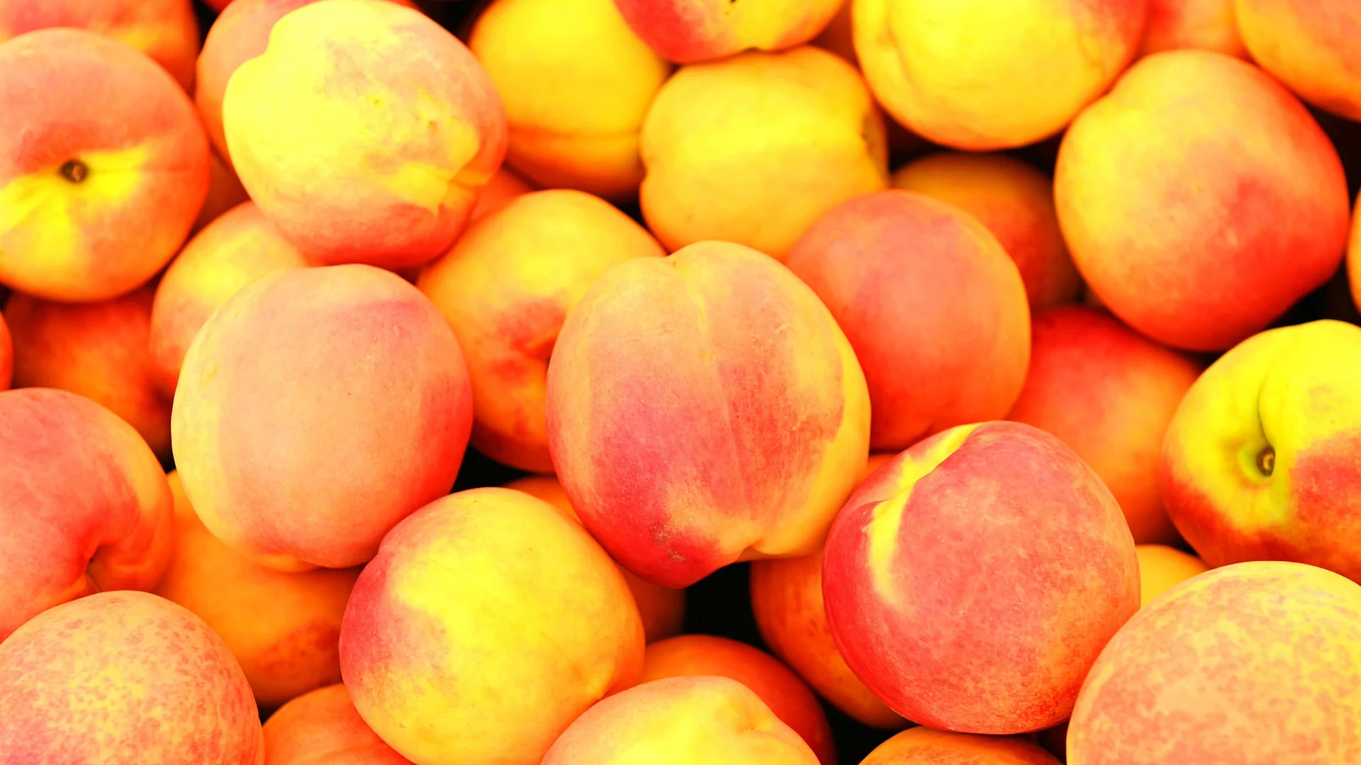 182,000 Pounds of Free Nectarines: The Lawsuit Behind a Massive Giveaway