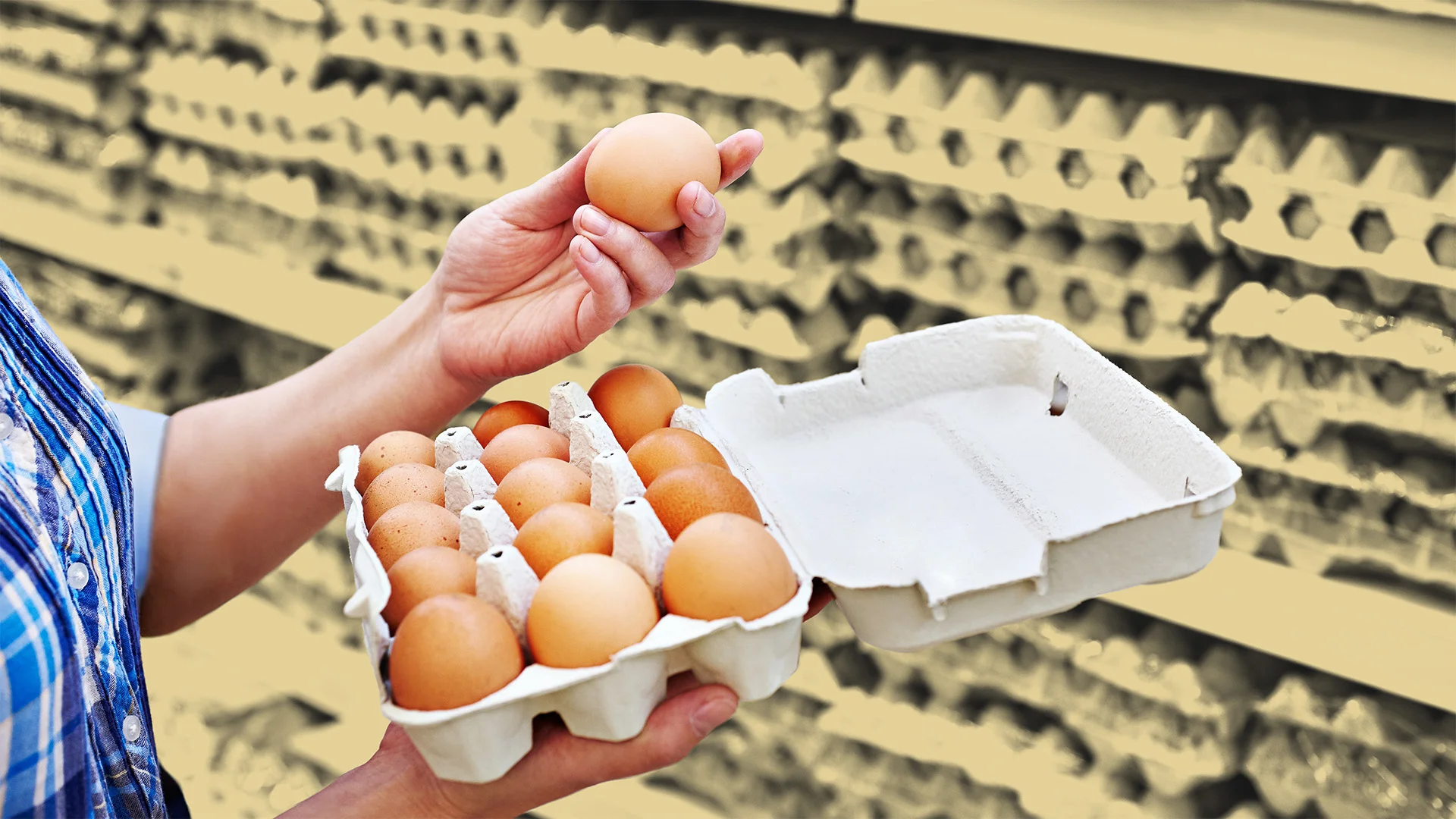 Eierproduzenten einigen sich nach Preisabsprachen-Vorwürfen auf über 3 Mio. Dollar Strafe