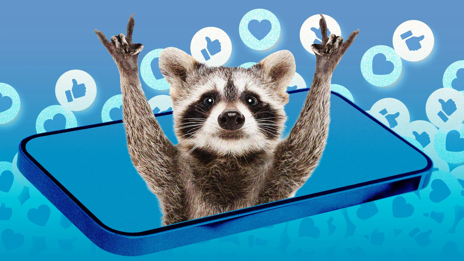 Seattle’s Viral Raccoon Jimothy Became an Internet Celebrity. Not Everyone Is Happy About It