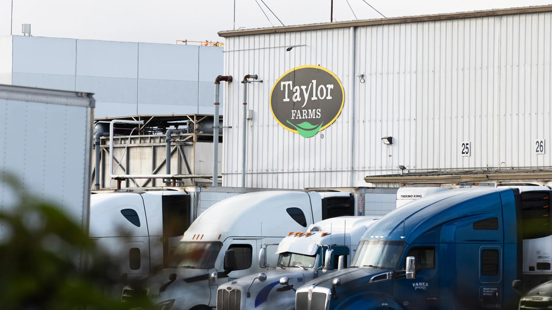 Why the FDA’s Retracted Contamination Claim Is Still a Massive Problem for Taylor Farms in Cyclospora Outbreak