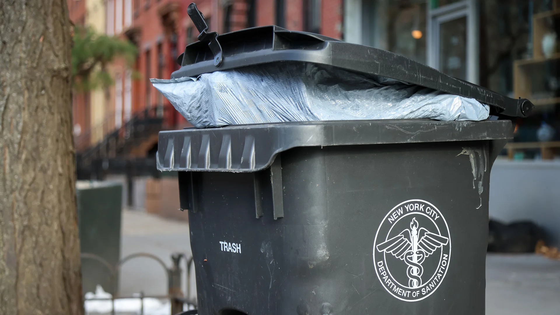 New York City Is About to Fine Property Owners Over Trash Bins. Its Official Supplier Says the Rollout Drove It Into Bankruptcy