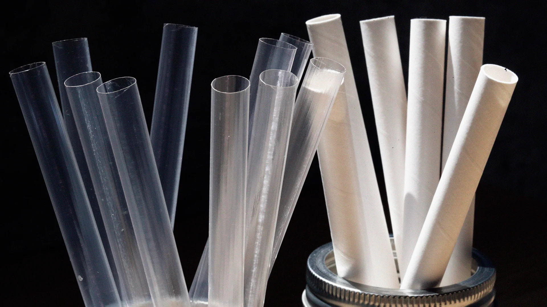 PlantSwitch Cracked a Barrier to Plastic Alternatives. Now It’s Scaling to 1 Billion Units
