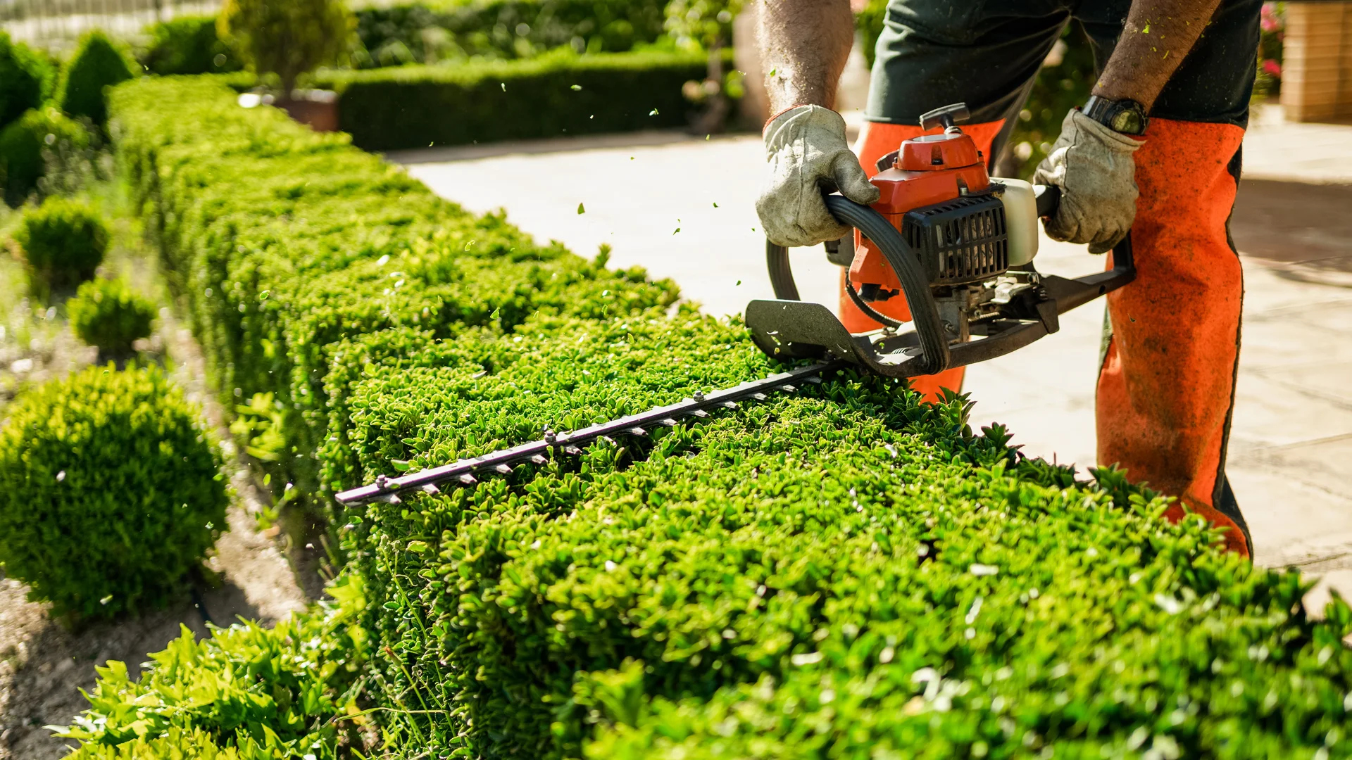 5 Boring Small Business Ideas with Customers Who Pay Month After Month