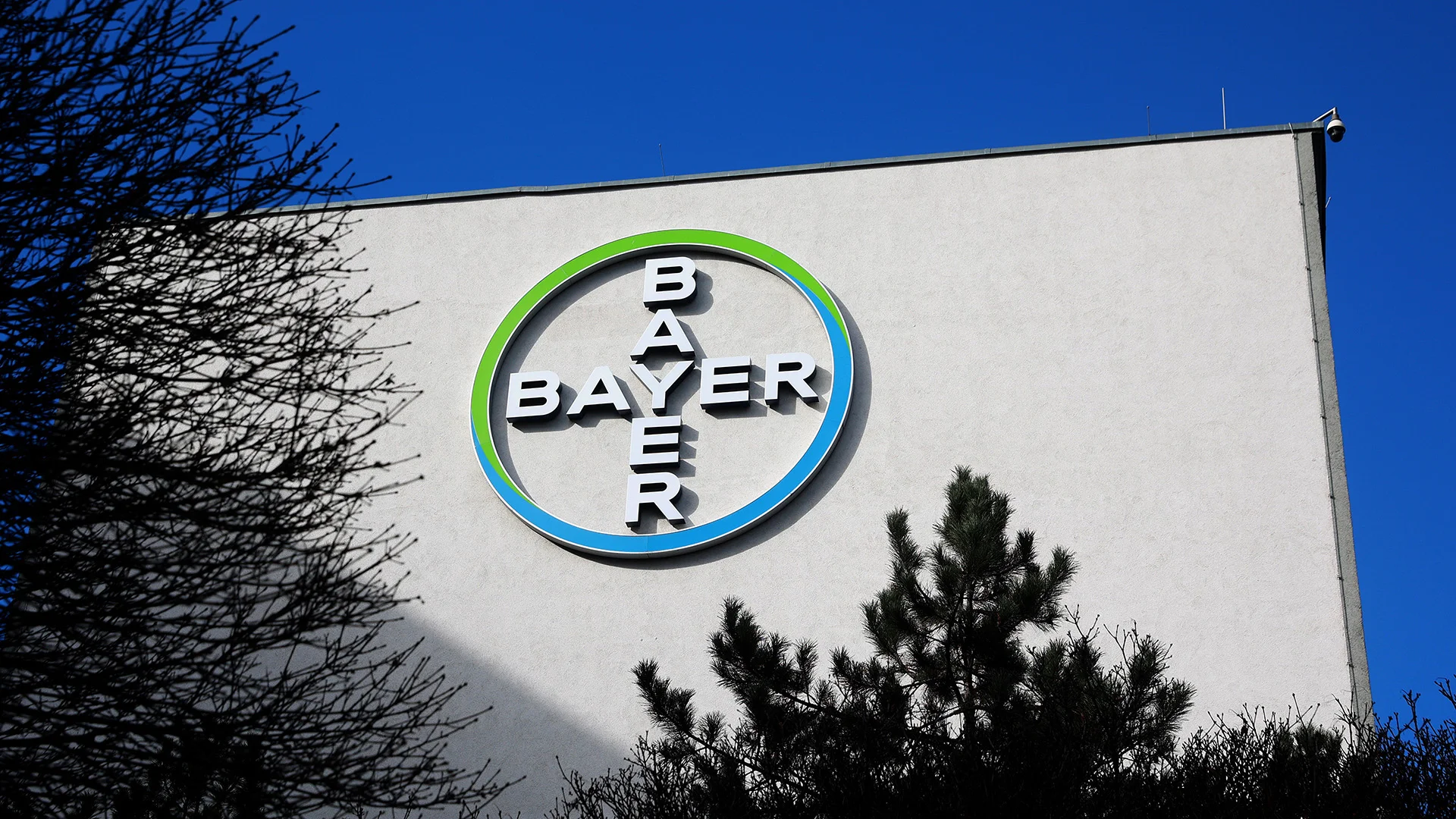 Why Bayer Abandoned Traditional Sales Targets to Redefine Corporate Accountability