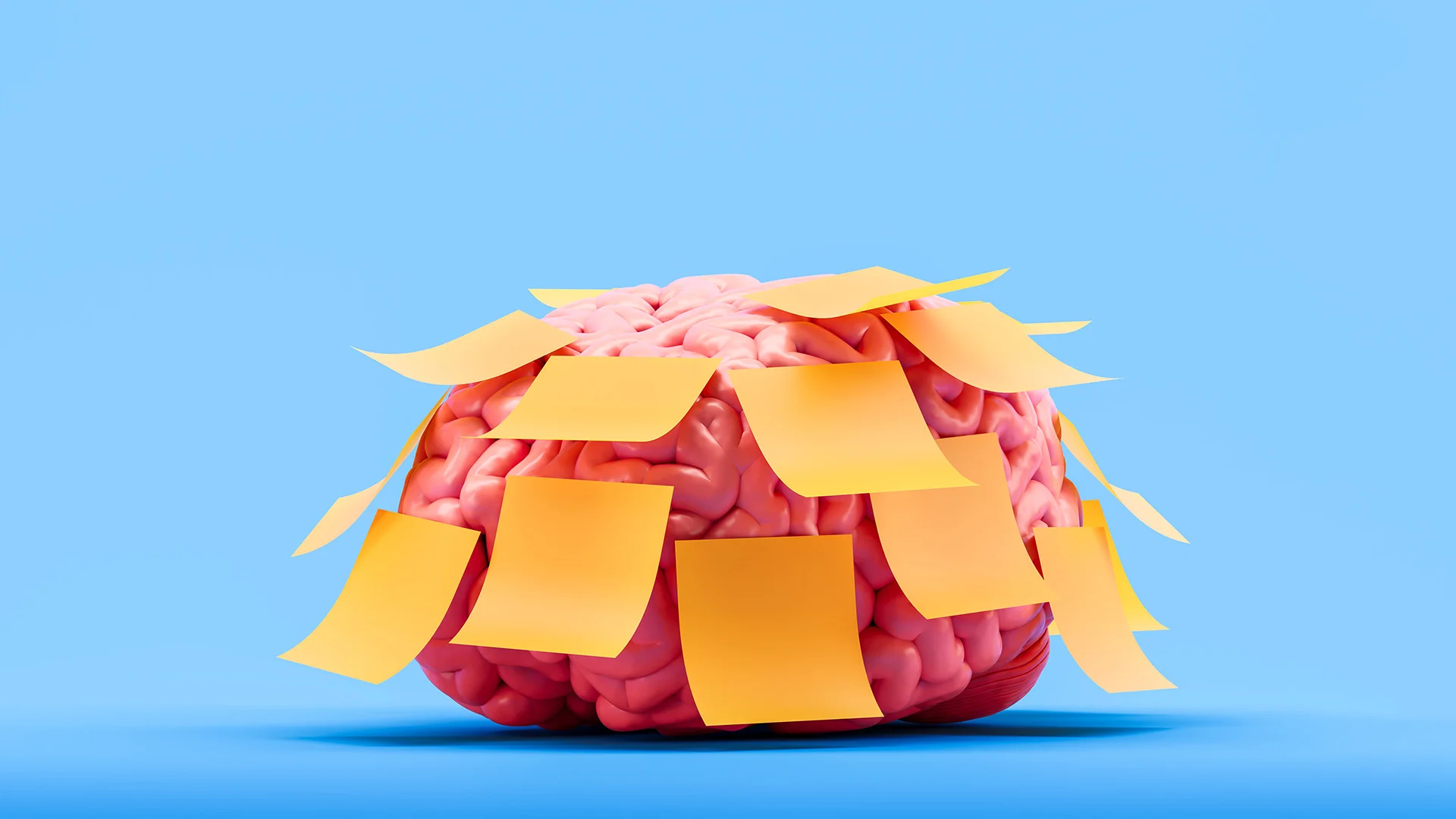 Think Stress Always Hurts Your Memory? A Yale Study Found the Opposite Under 1 Condition